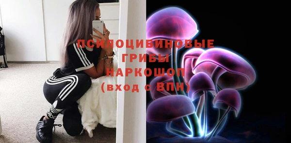 гашик Арсеньев