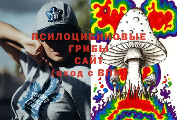гашик Арсеньев