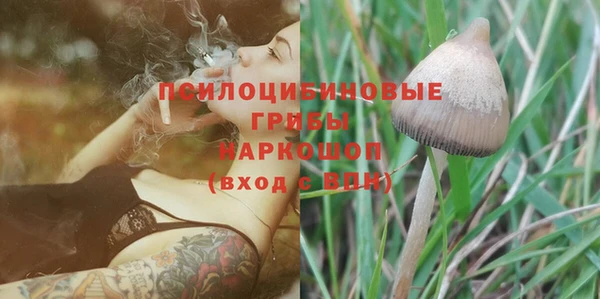 гашик Арсеньев