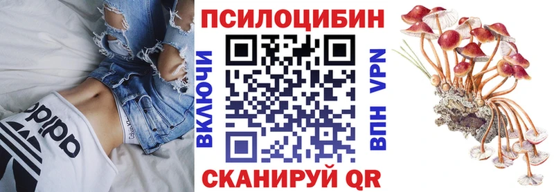 omg как зайти  Рыбное  Псилоцибиновые грибы Psilocybe 
